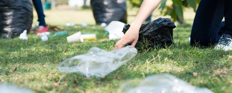 people picking up plastic from a grassy space and putting it into black bin bags