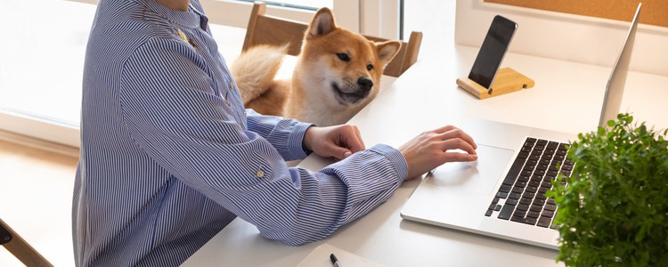 Woman working from home on a laptop with her dog